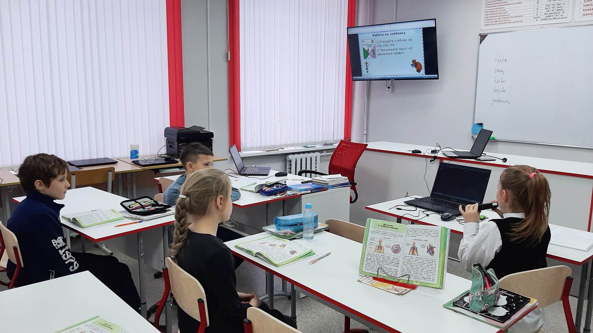 Изучаем дыхание и кровообращение на уроке в 3 классе